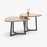 DAMIEN Dual Triangular Coffee Table
