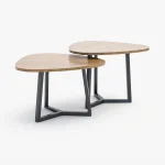 DAMIEN Dual Triangular Coffee Table