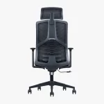 Ellin (Mesh Ergonomic office chair high back, Black)