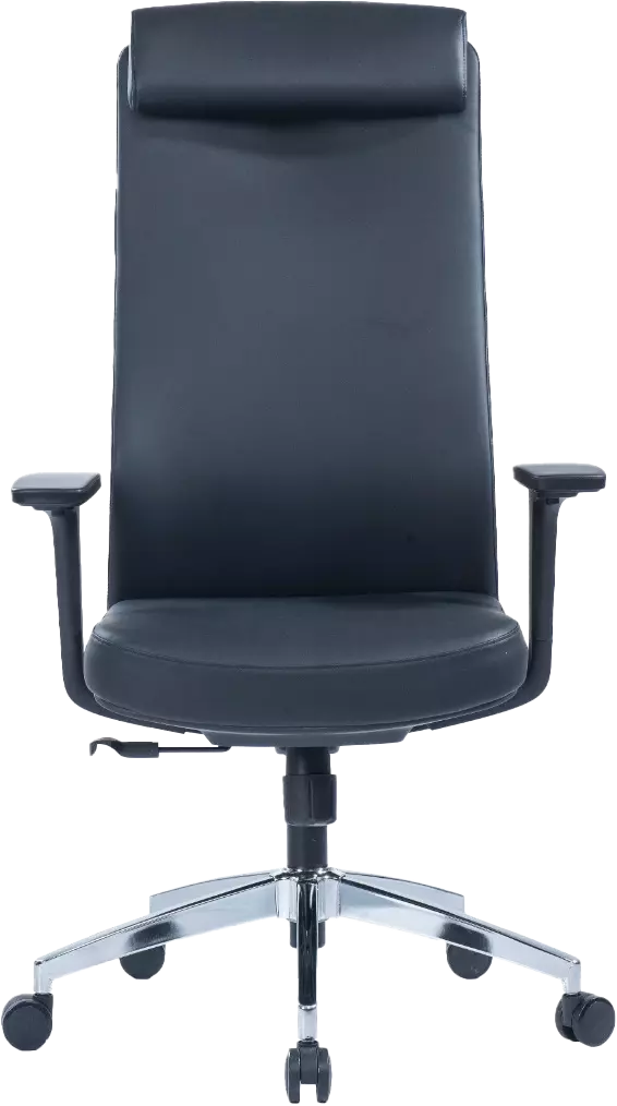 Adric (Leather office chair high back, Black)