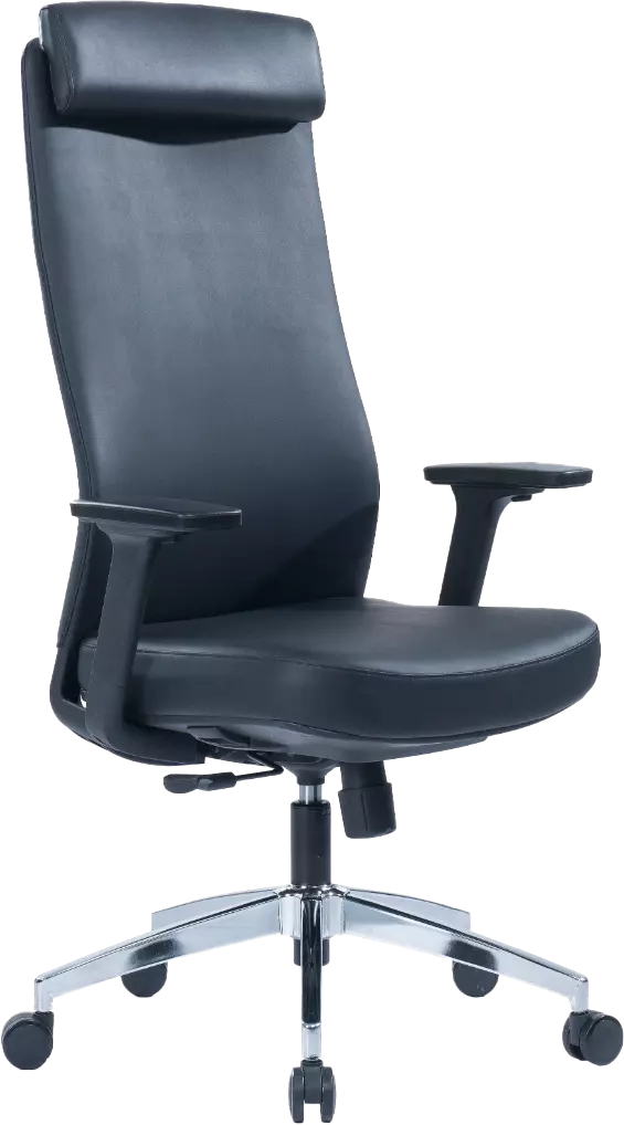 Adric (Leather office chair high back, Black)