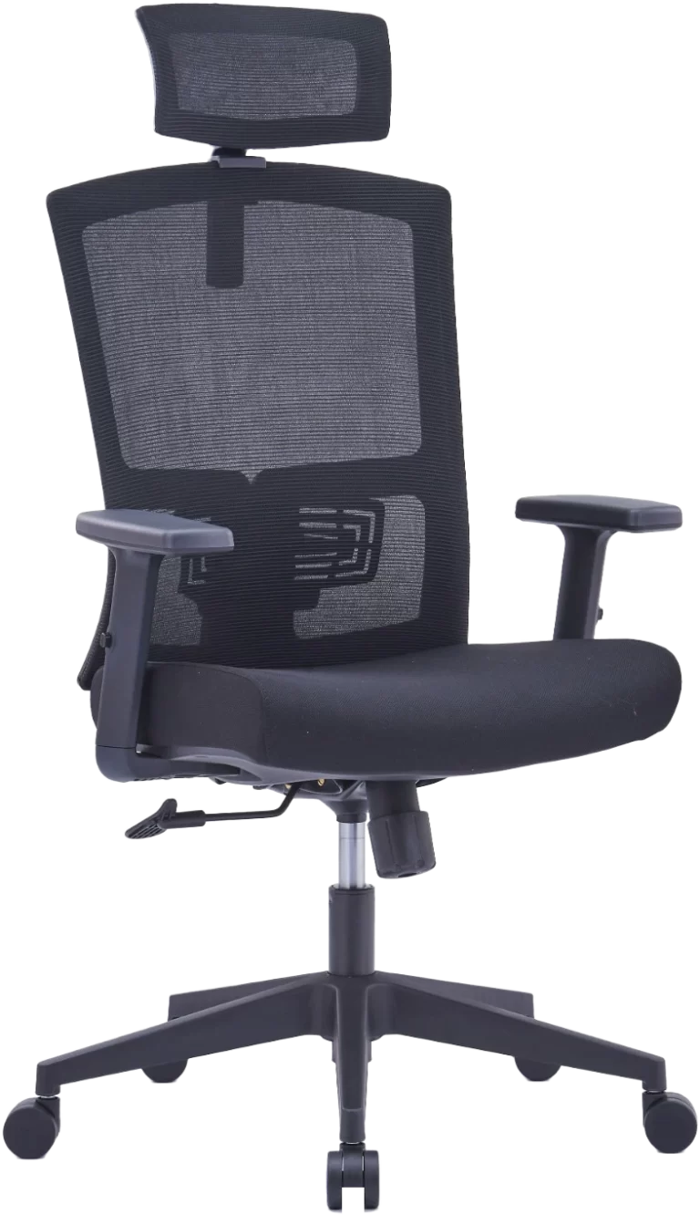 Barrel (Mesh Ergonomic office chair high back, Black)