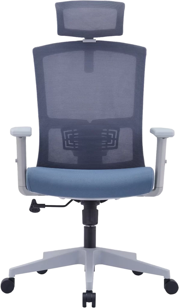 Drake (Mesh Ergonomic office chair high back)