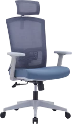 Drake (Mesh Ergonomic office chair high back)