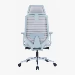 EGGSY Ergonomic Mesh Chair High back