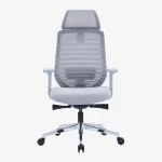 EGGSY Ergonomic Mesh Chair High back