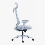 EGGSY Ergonomic Mesh Chair High back