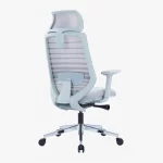 EGGSY Ergonomic Mesh Chair High back