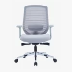 EGGSY Ergonomic Mesh Chair Medium back