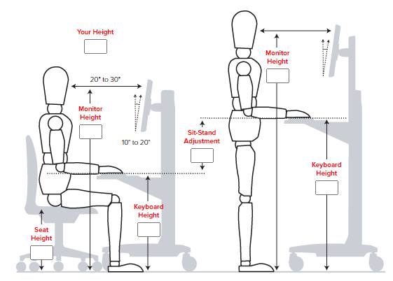 Measure your monitor’s height from floor to top screen, which should be at eye level
Lower screen 6”, tilt upward 30° to 40° and pull within 16” of eyes
Measurements are baseline positions. As posture changes, reposition the equipment