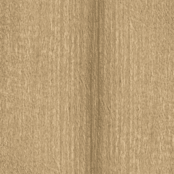 Pacific Walnut