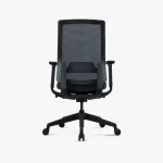 FORTIS Low Back Ergonomic Chair