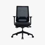 FORTIS Low Back Ergonomic Chair