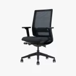 FORTIS Low Back Ergonomic Chair