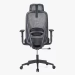 PALOOZA High Back Ergonomic Chair