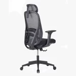 PALOOZA High Back Ergonomic Chair