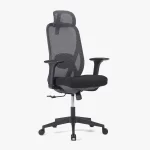 PALOOZA High Back Ergonomic Chair