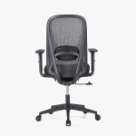 PALOOZA Medium Back Ergonomic Chair