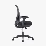 PALOOZA Medium Back Ergonomic Chair