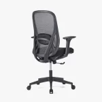 PALOOZA Medium Back Ergonomic Chair