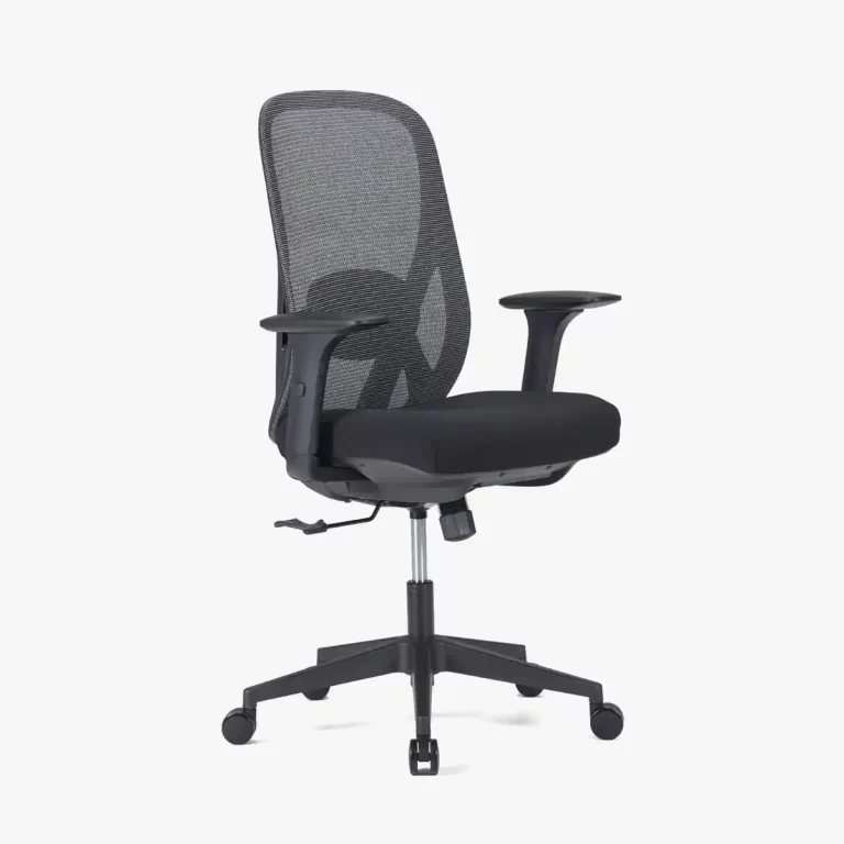 PALOOZA Medium Back Ergonomic Chair